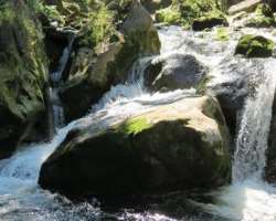 It is a beautiful outdoor place having over 20 species of fern combined with the sound of falling water which makes the visitors more excited.